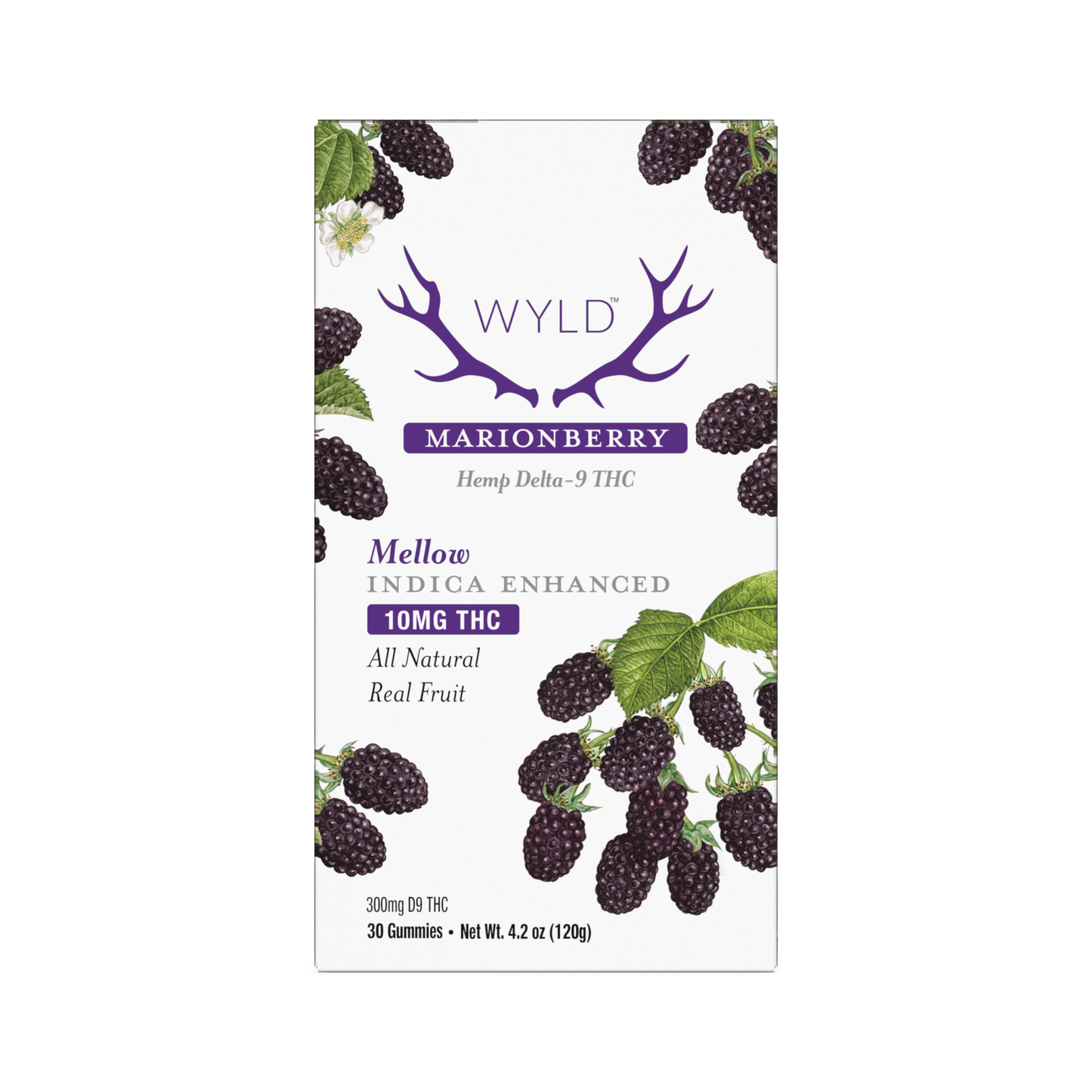 Wyld Mellow Marionberry Gummies 10mg